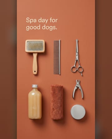 Knolling photo: a dog grooming kit on terracotta