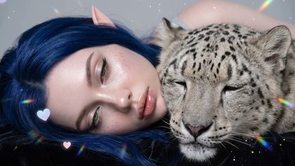 The Snow Leopard