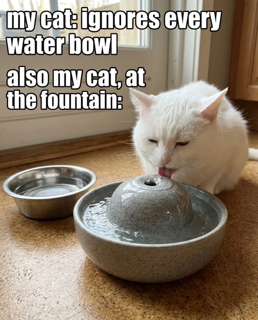 Meme ad: a white cat blissfully drinking from a pet fountain
