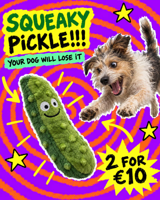 Ugly ad: a squeaky pickle dog toy on garish purple