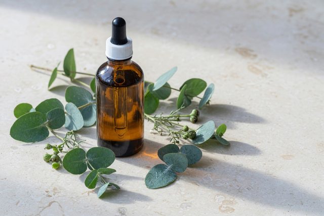 Amber dropper, eucalyptus