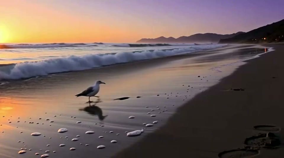 Tide line at dusk