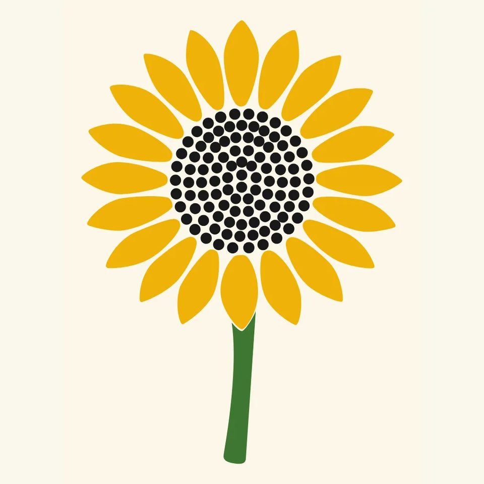 Sunflower, bold stroke