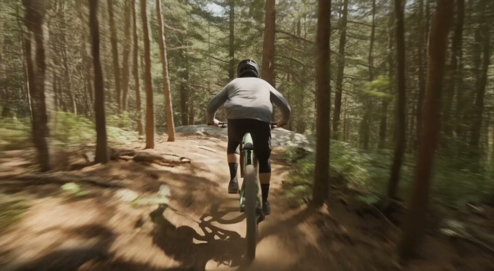 Ledge drop in the pines