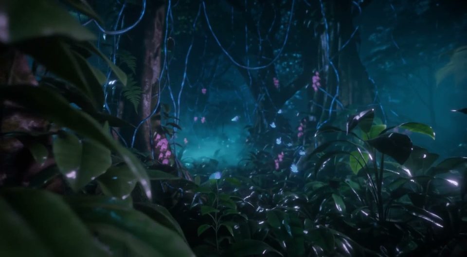 The jungle lights itself
