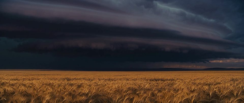 The gust front