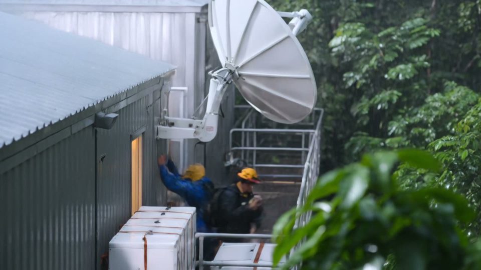 The jungle uplink