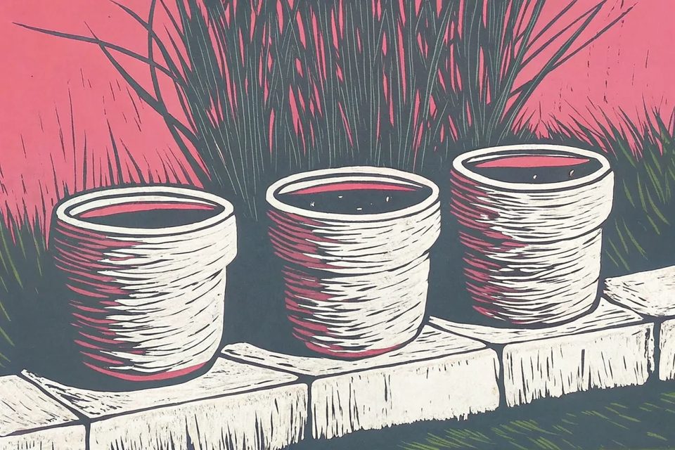 Color engraving · planters