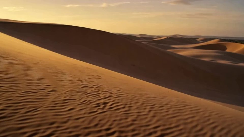 Dunes at dawn