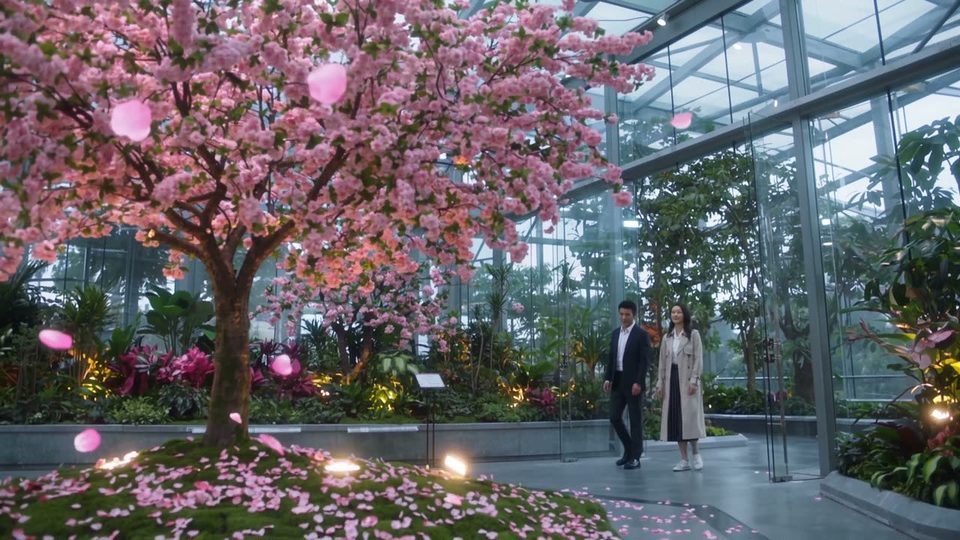 A cherry tree that never stops